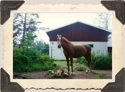 Foto: Bjurheden © 1995