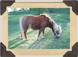 Foto: Sanne © 2009
