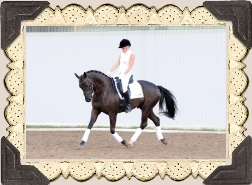 Foto: Linnea Månsson ? 2012