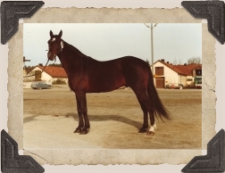 Foto: Viveka Karlestrand © 1979