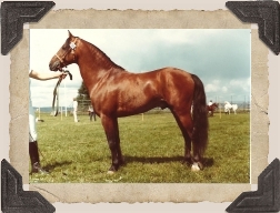 Foto: Viveka Karlestrand © 1980