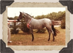 Foto: Viveka Karlestrand © 1984