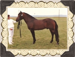 Foto: Viveka Karlestrand © 1989