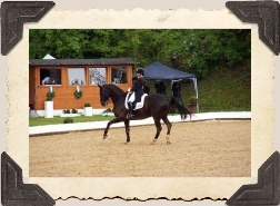 Foto: WDM - World Dressage Masters @Flickr CC BY 2013