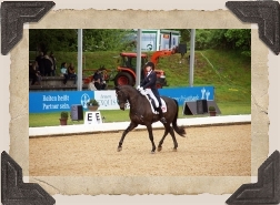 Foto: WDM - World Dressage Masters @Flickr CC BY 2013