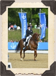 Foto: WDM - World Dressage Masters @Flickr CC BY 2015