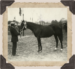 Foto: Jonn, Malmö ? 1913