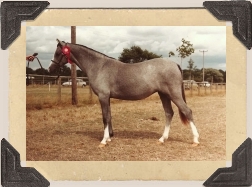 Foto: Viveka Karlestrand © 1983