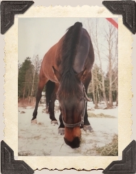 Foto: Annie Jurestam ? 