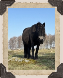 Foto: Camilla Kant © 2023