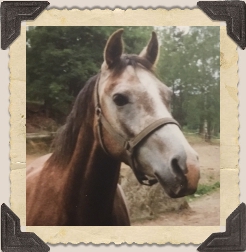 Foto: Annie Jurestam ? 1990